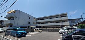 シェレナ衣山 305 号室 ｜ 愛媛県松山市美沢2丁目（賃貸マンション1K・3階・19.00㎡） その1