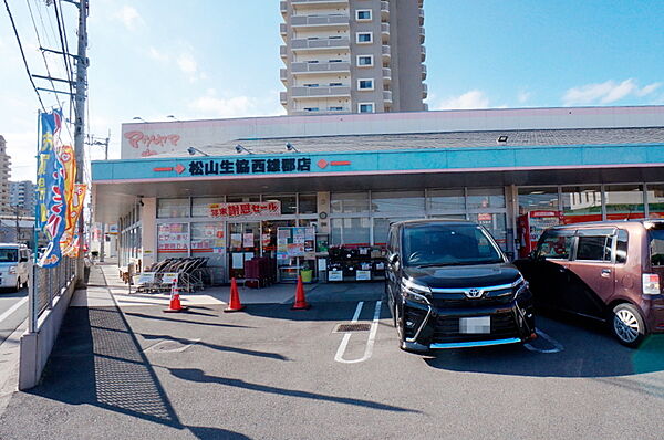 パールクラフト 502 号室｜愛媛県松山市土居田町(賃貸マンション2DK・5階・38.88㎡)の写真 その6