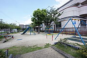 保免中緑地
