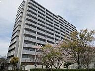 愛媛県松山市辰巳町：物件画像／株式会社日本エイジェント　城北テラス店