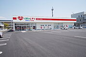くすりのレデイ 南斎院店