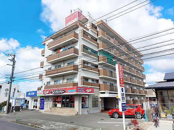 たかおマンション 307 号室｜愛媛県松山市古川西1丁目(賃貸マンション3LDK・3階・52.97㎡)の写真 その1