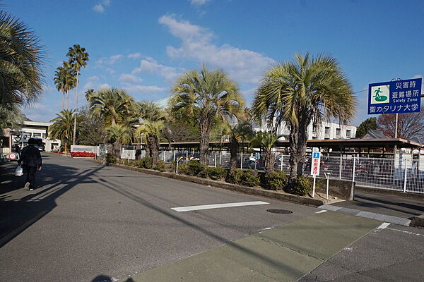 レオパレス与奈泉 204 号室｜愛媛県松山市下難波(賃貸アパート1K・2階・23.18㎡)の写真 その18