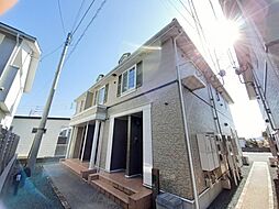 野埜花