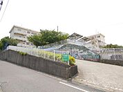 横代小学校(900m)