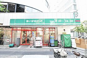 レジディア島津山  ｜ 東京都品川区東五反田1丁目（賃貸マンション1K・6階・22.88㎡） その19