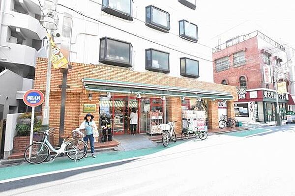 パピエ旗の台 ｜東京都品川区旗の台5丁目(賃貸マンション1LDK・1階・42.87㎡)の写真 その19