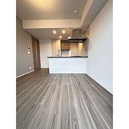 スタイリオ池上ＳＯＵＴＨ 5階1LDKのリビング/ダイニング