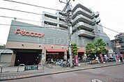 ピーコック 196m