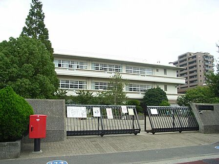 川崎市立宮前小学校 520m