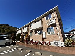 ナチュラル　フラット