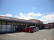 ザ・ダイソーまいづる9鏡店 1253m