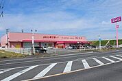 コスモス 唐津鏡店 500m