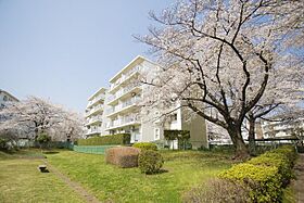 UR新座 0-05-0008-0509 ｜ 埼玉県新座市新座3丁目（賃貸マンション1LDK・5階・41.96㎡） その5