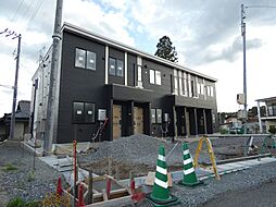 パイン　フィールド