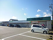 ファミリードラッグ 座光寺店（912m）