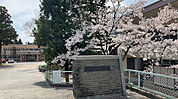 松川町立松川中学校（1419m）