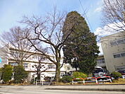 飯田市立上郷小学校（1495m）