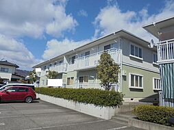 フレグランスアイビーA