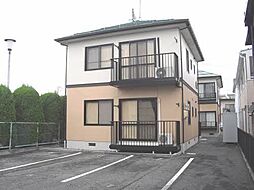 フレグランスヤマソウB