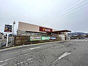 DCM長野運動公園店（270m）