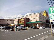 アピタ 伊那店（284m）