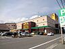 周辺：アピタ 伊那店（523m）