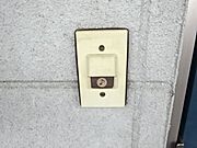 参考写真