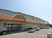 やおふく東御店（1203m）