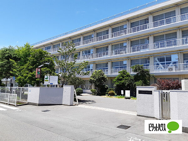 画像24:中学校「富士市立田子浦中学校まで906m」