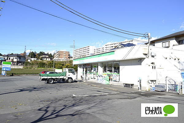 画像25:コンビニ「ファミリーマート富士見台店まで807m」