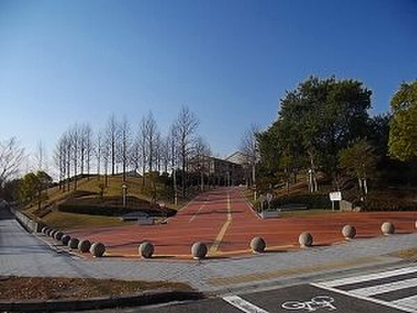 画像17:【大学】 兵庫県立大学 神戸商科キャンパスまで1213ｍ