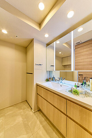 洗面 白金ザ・スカイE棟 38階/3818