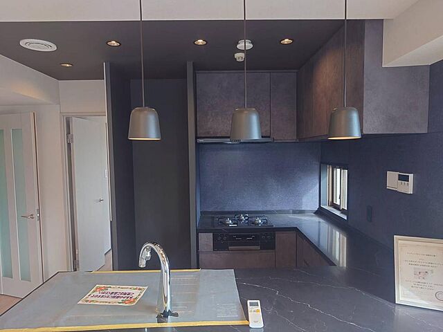 キッチン パロス白金 8階/802