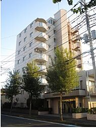 物件画像 ライオンズマンション北松戸〜南東角のお部屋〜