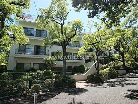 シャンボール山手D棟の外観(北側から)