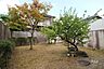 その他：庭［2026年8月25日撮影］