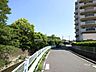 その他：敷地の東側前面道路（北側から）