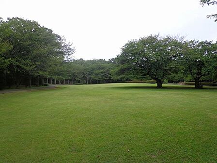 大庭城址公園1941m