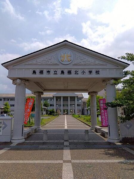 ステラコート宿