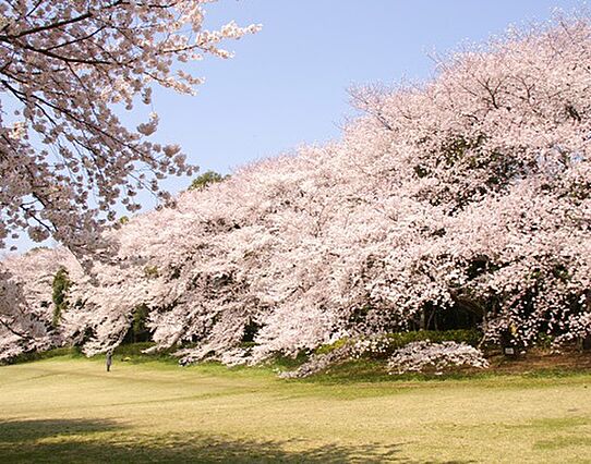 砧公園：徒歩1...