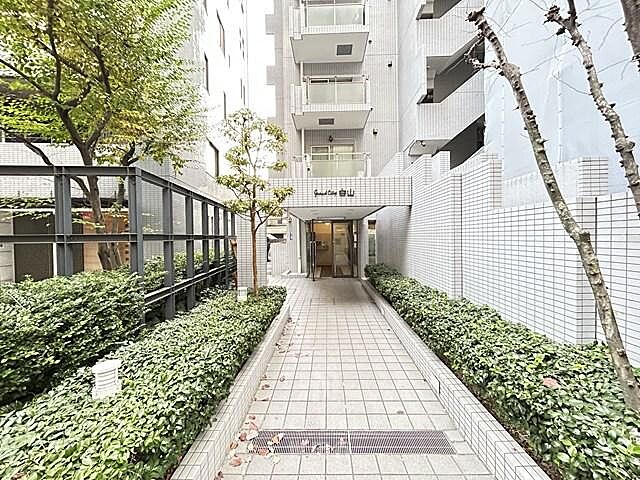 エントランス グランドシティ白山 5階/-