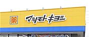  ドラッグストア マツモトキヨシ郡山御前南店 1100m