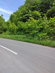 北海道余市郡赤井川村字富田199の土地画像