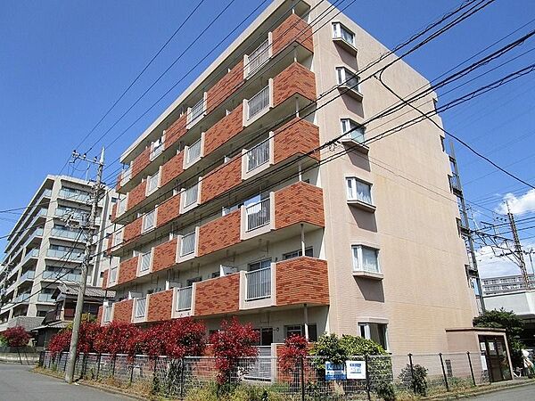 ダイカンプラザ 505｜千葉県松戸市(賃貸マンション3LDK・5階・59.44㎡)の写真 その1