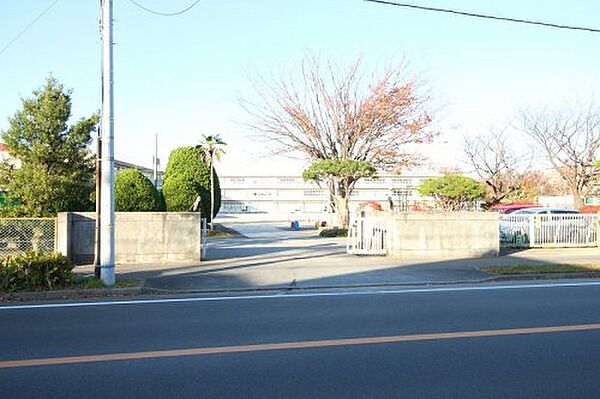 画像24:【小学校】柏市立松葉第一小学校まで1243ｍ