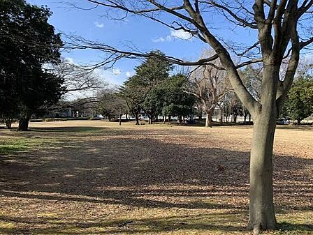 西千葉公園(約97m)