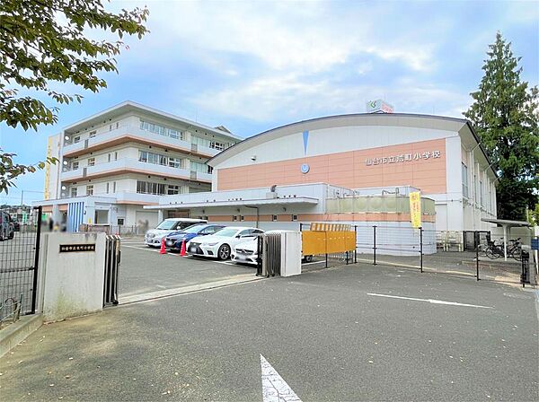 周辺を拡大表示