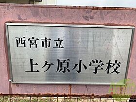 ベルフローラ  ｜ 兵庫県西宮市上ケ原三番町63-13（賃貸アパート1LDK・3階・45.60㎡） その20