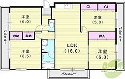 フェルザ西宮 5階